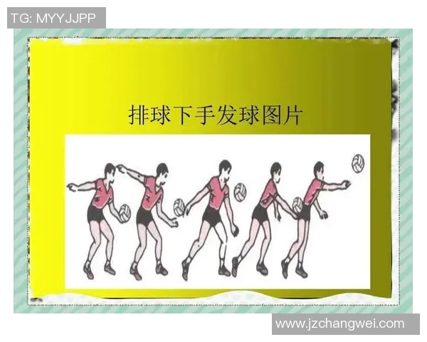排球新手必看:提升灵活性的全面入门攻略与技巧分享 排球新手必看:提升灵活性的全面入门攻略与技巧分享